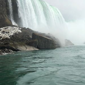 Meet your Posher, Shane